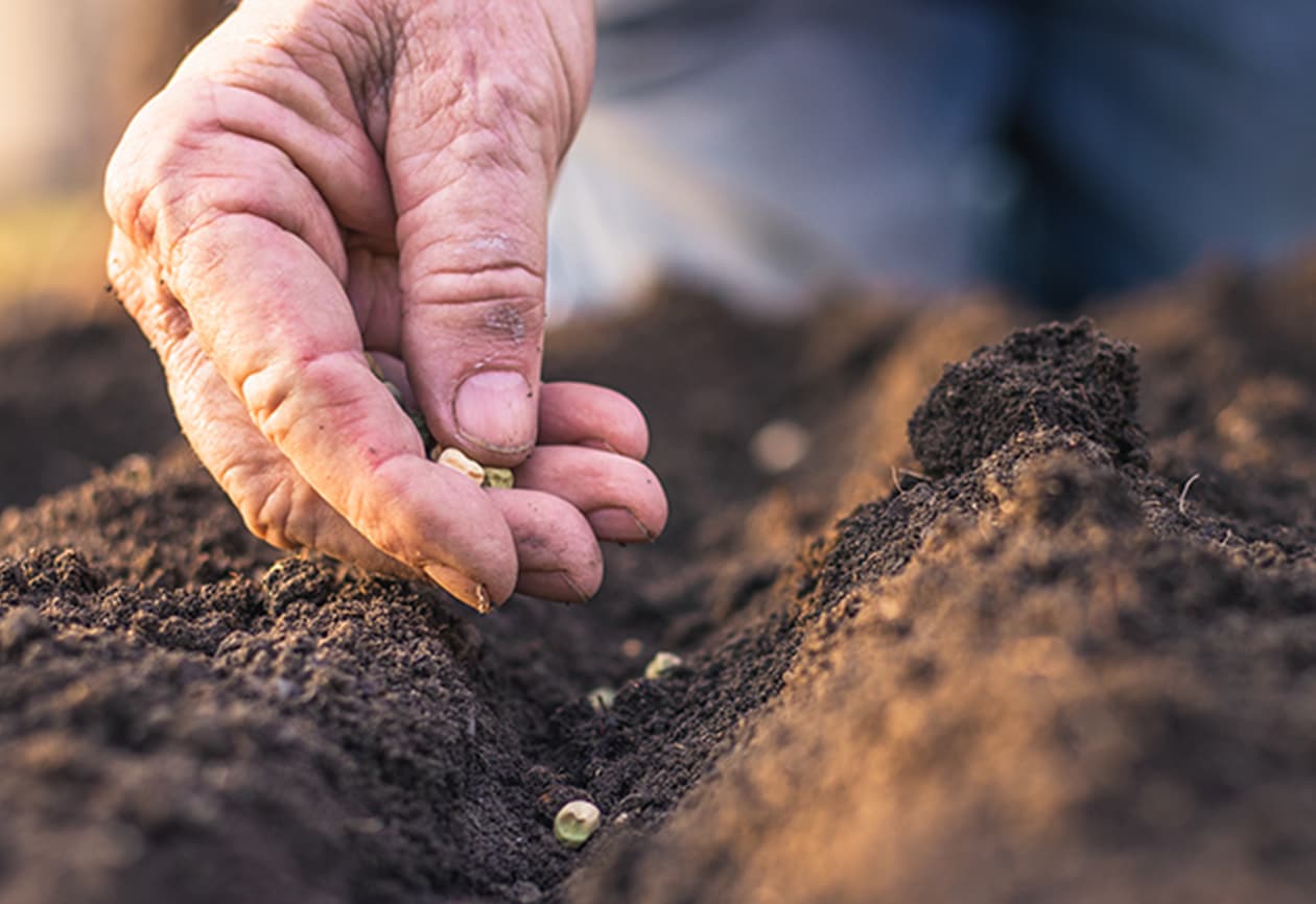 大和木材グループのCSV1：企業や自治体などさまざまな団体と関わり実現する森林保全活動