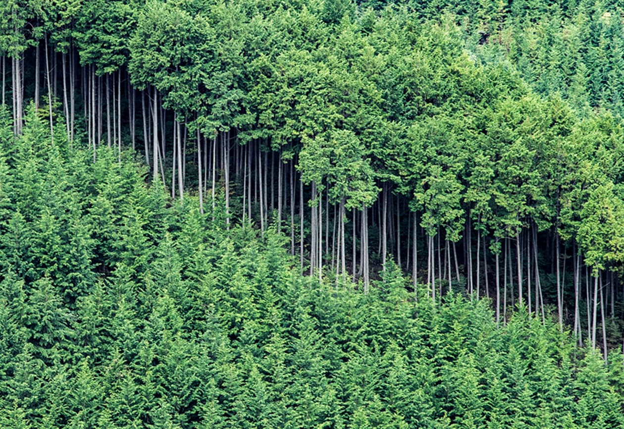 大和木材グループのCSV2：今ある課題を地域社会と一緒に理解しより有効な解決策を提示し未来を描く木を使った事業展開